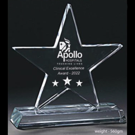 STAR CTYSTAL AWARD